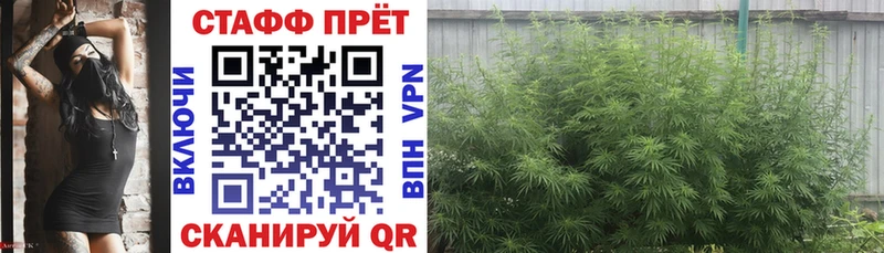 Где продают наркотики Купино Конопля Экстази Галлюциногенные грибы СК ГАШ АМФ