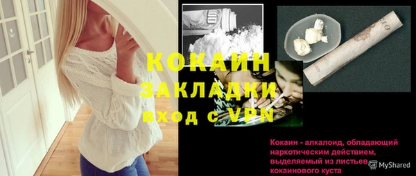 индика Балабаново