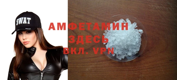 индика Балахна