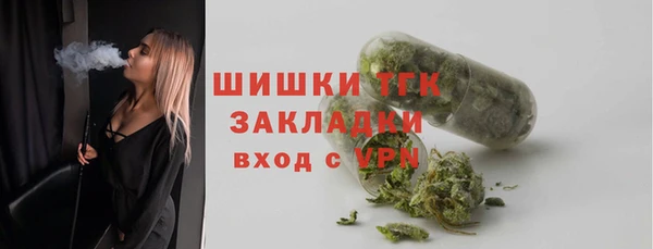 индика Балахна