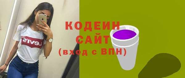 индика Балабаново