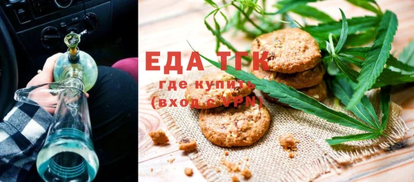 индика Балахна