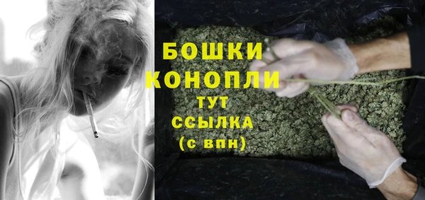 индика Балабаново