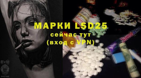 индика Балахна