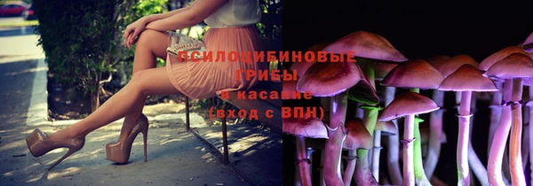 индика Балабаново